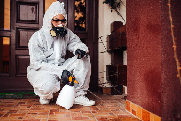 Reliable Bed Bug Control contractor in Pittsburg, TX by Nex Pest Control